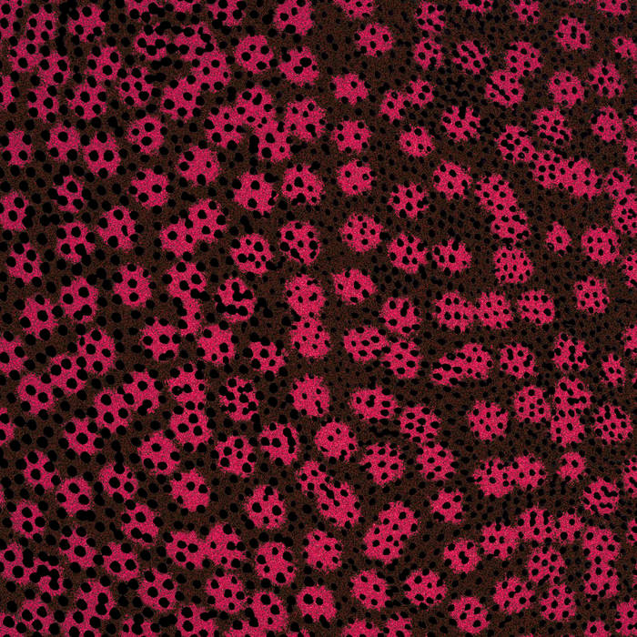 Pochette de L'amour en sang